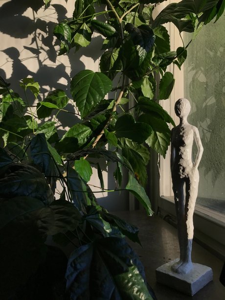 Swedish Princess トップスター 画像