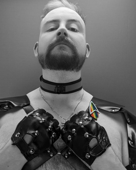 Prince Trek 素敵なスター 画像