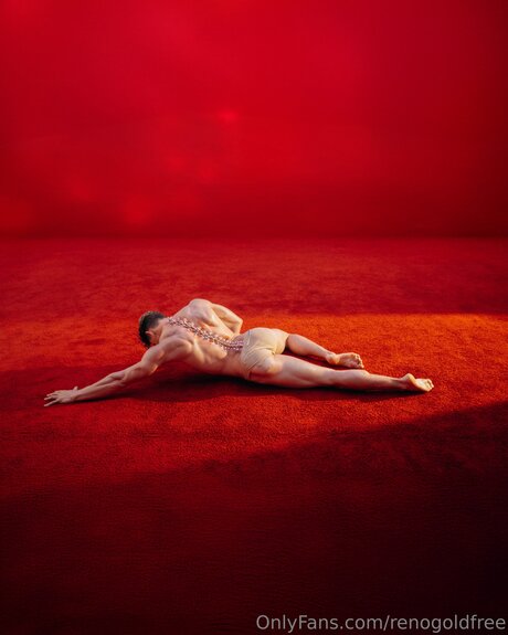 renogoldfree ヌードモデル 写真