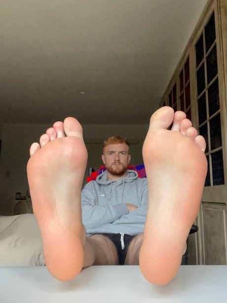 The Redhead Alpha HDスター 写真