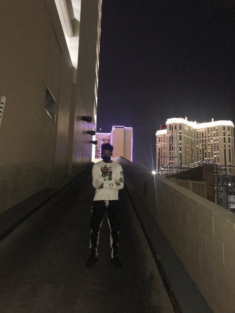 RECKLESS 完璧なポルノスター 写真