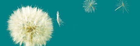 Manuel Ballher 素敵な女優 写真