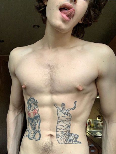 Martin_ HDモデル 写真