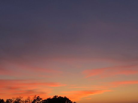 Mars Collapses ホットなポルノスター 画像