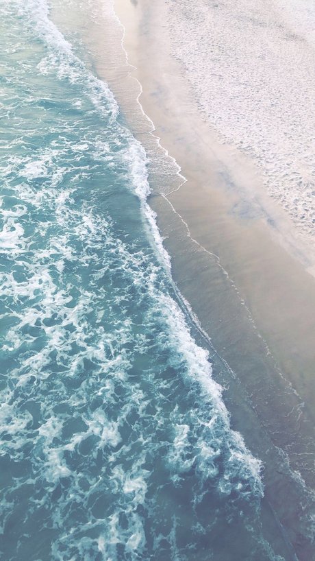 sunny_ 完璧なスター 写真