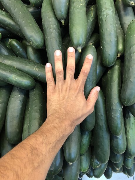 matica de pelo スター 写真