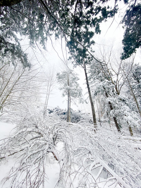 Mason Woods 独占モデル 写真