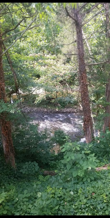 Mason Alexander 無料モデル 写真