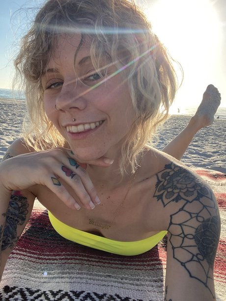 Into the Mystic スター 写真