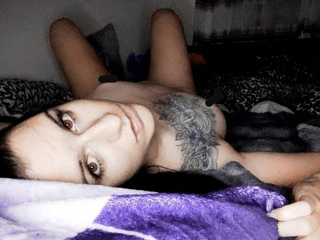 Disi 高品質女優 画像