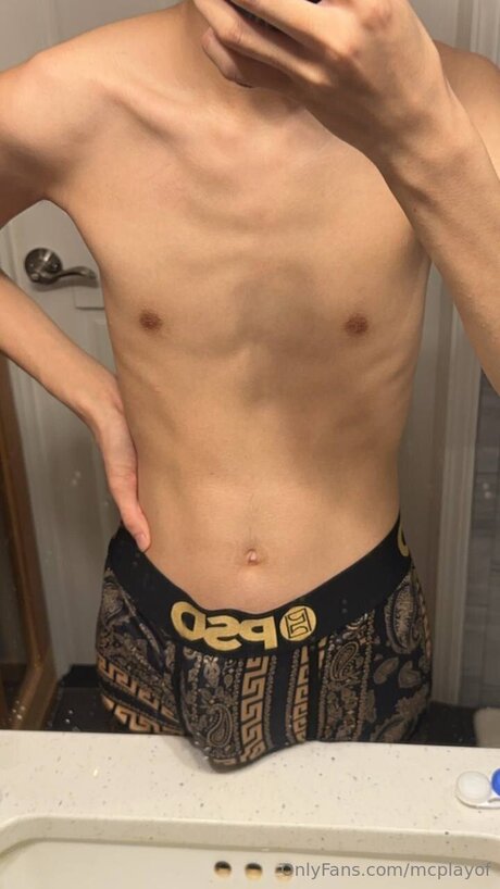 McPlayGT ポルノスター パーフェクト 画像