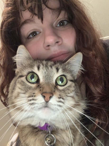 mimichuu HDスター ギャラリー