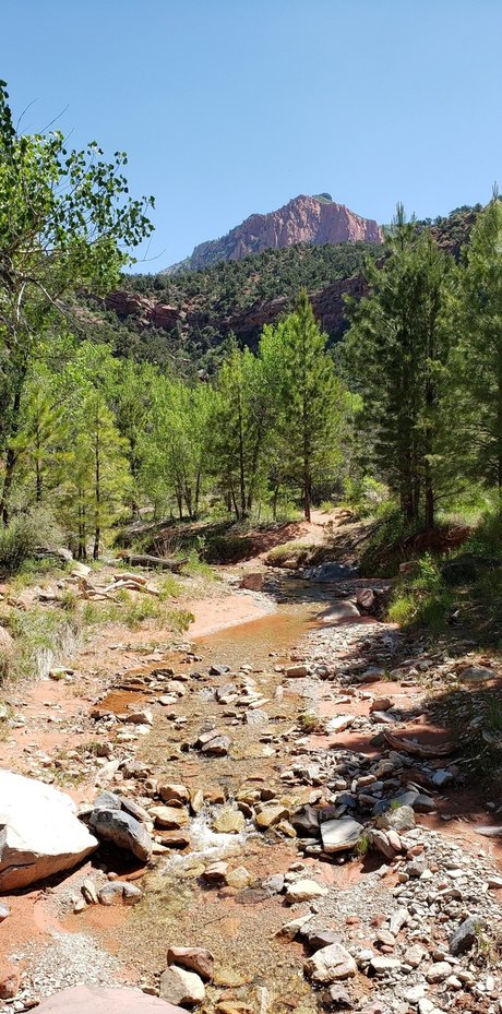 James Webb_ ヌードモデル 画像