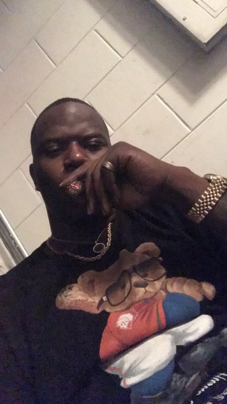 BeetlesX3 高品質スター 写真