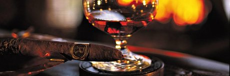 Maestro Max 素敵なスター 写真