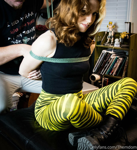 themdom ポルノスター パーフェクト アーカイブ