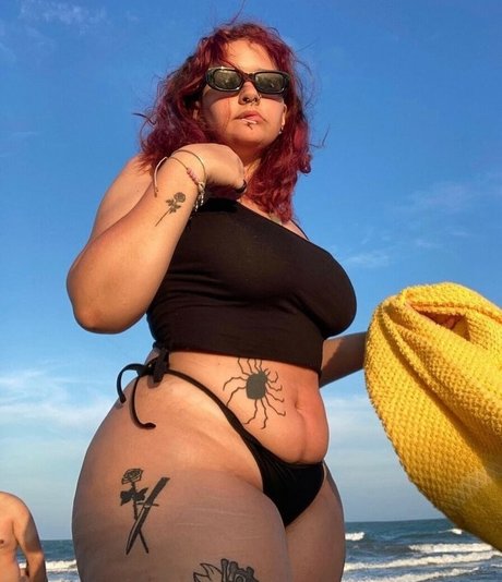 sucubo ヌードスター 画像