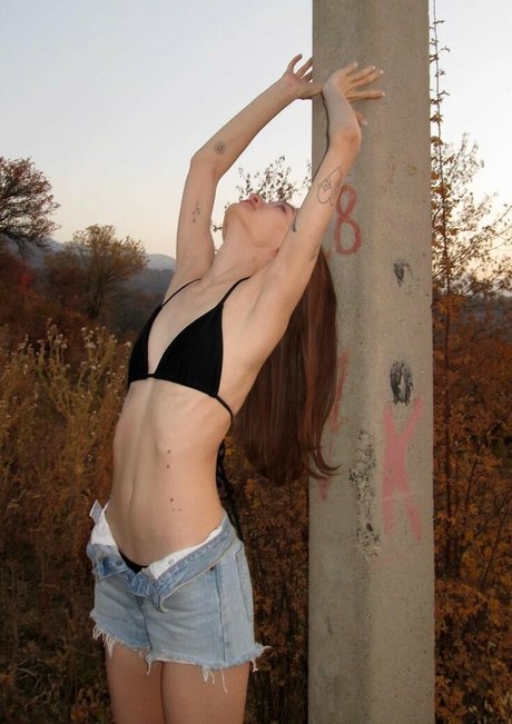 litlonn 美しいスター ギャラリー