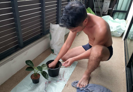 大きな白いチンポ OnlyFans xxx 写真