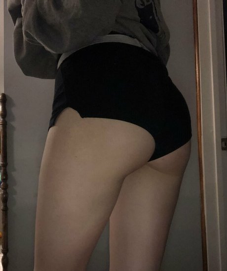 avanetfree スター 写真