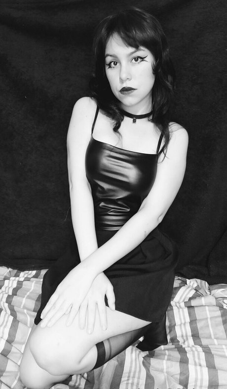 alrak66elocin top profile image