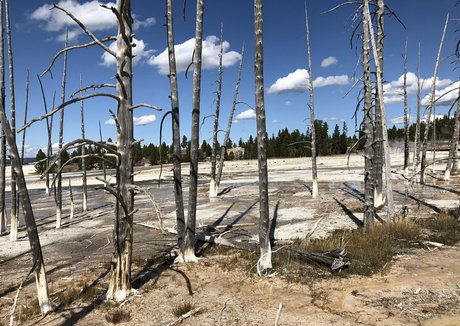 ハードファックOnlyFans 無料セクシー ギャラリー