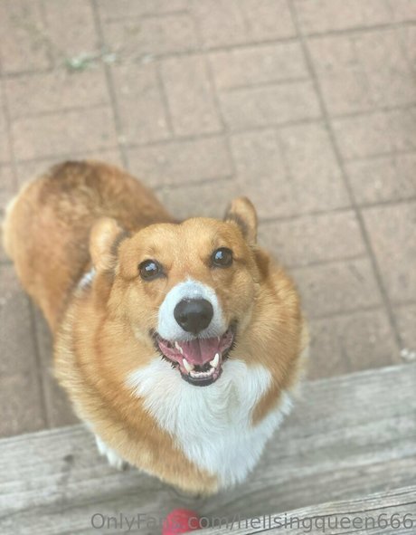 hellsingqueen666 かわいいポルノスター アーカイブ