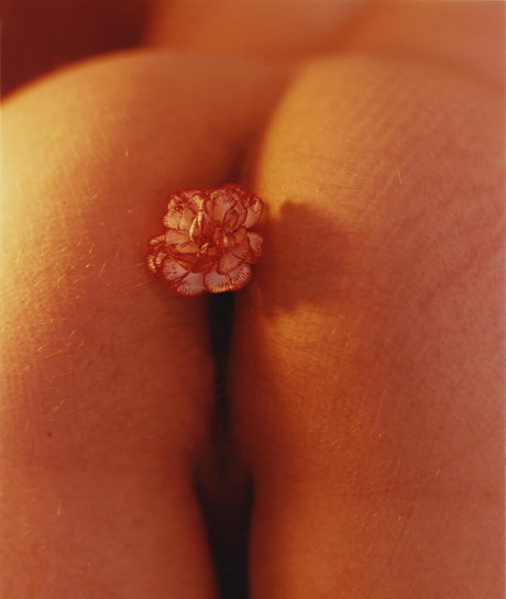 マッサージ動画 OnlyFans アートポルノ 画像