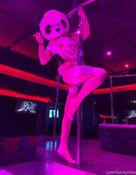 lovestaceynow 限定スター ギャラリー