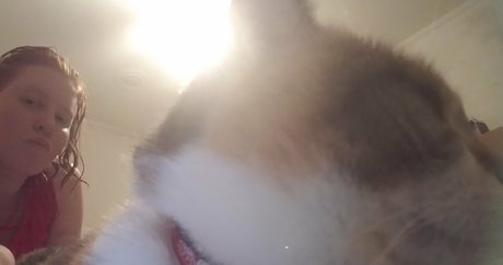 エボニートップオンリーファン セクシーヌード 画像