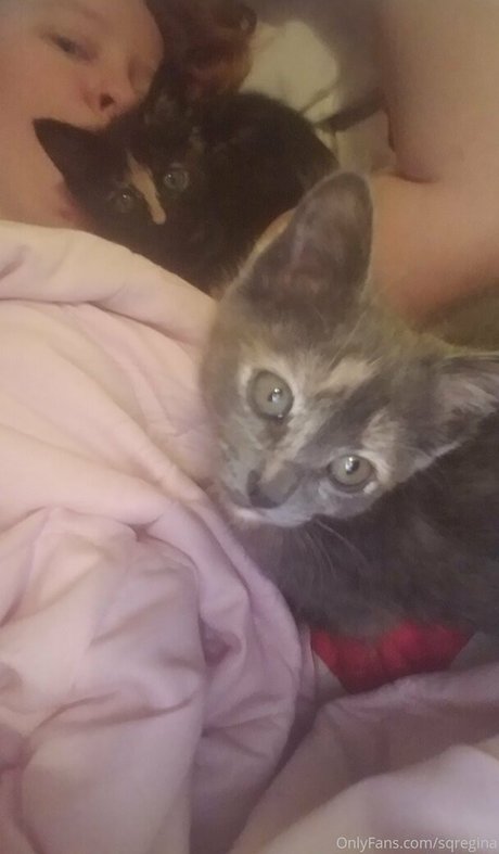 張りのあるおっぱいOnlyFans ホットポルノ 写真