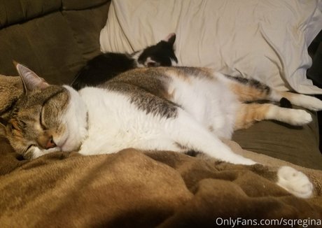 sqregina ポルノスター ヌード 写真