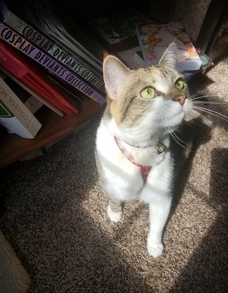 異人種間OnlyFans セクシー 写真