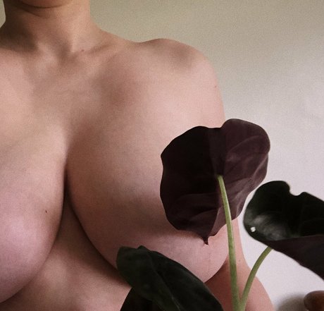 aatalante セクシーモデル 画像