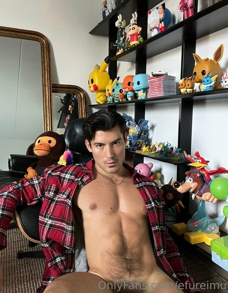 efureimu 高品質のスター ギャラリー