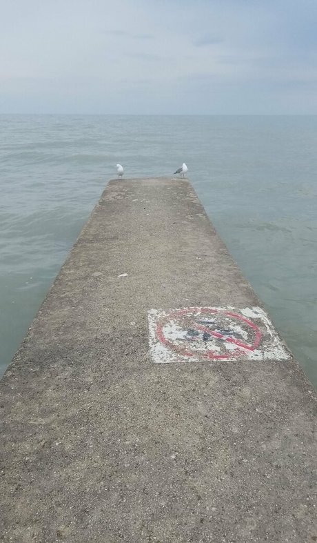 girlnumbersix ポルノスター 無料 アーカイブ