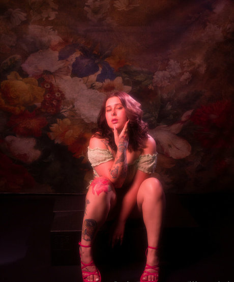 liizardqk かわいいスター 画像