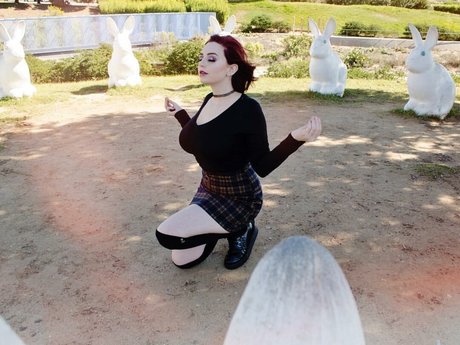 大きな黒い猫OnlyFans 無料xxx 画像