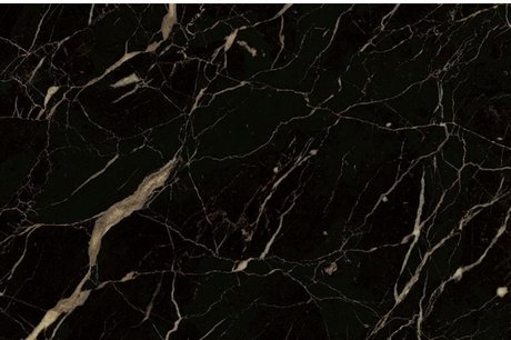 Baby Scl ヌードモデル 写真