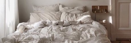 RenChannel 高品質モデル 写真