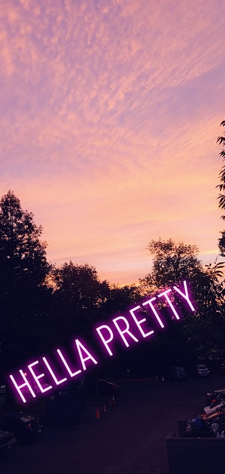 Bikini Bambi アダルトモデル 画像