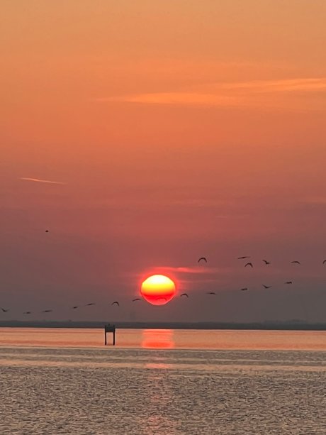 Rome_ 裸の女優 写真