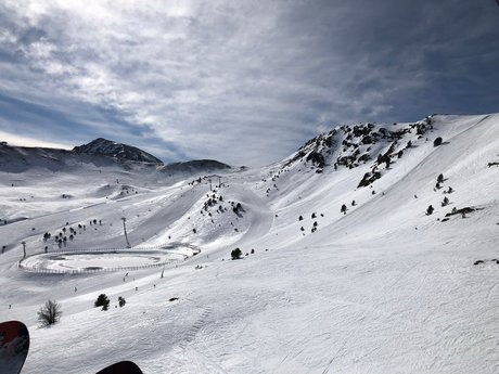 Big Dog ポルノスター 高品質 画像