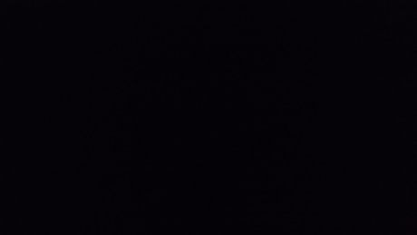 Jorgelina anahi XXXモデル 写真