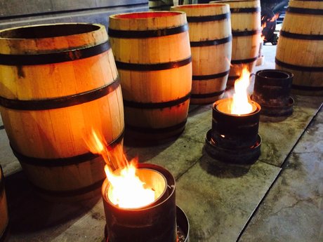 Joey Brass ヌード女優 写真