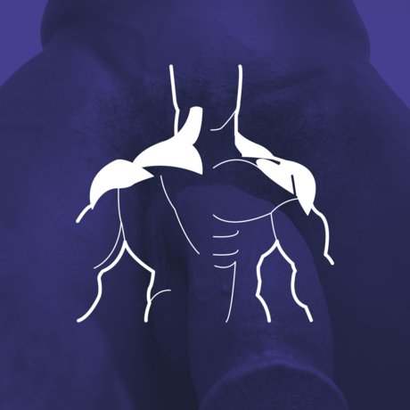 Andres Henri アートポルノスター 画像