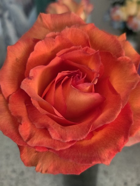 Manic_ アートスター 画像