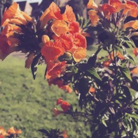 Ana Ann ポルノスター セクシー ギャラリー