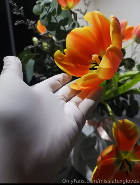 Miss Latex GLoves スター アーカイブ