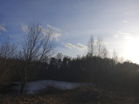 Milisixx xxxスター 写真